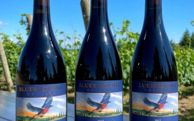 Blue Bird Hills Wine Bottle: A Bottled Symphony of Nature's Finest