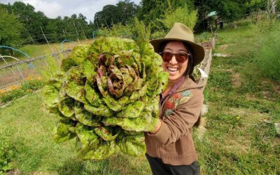 Lilliputopia Tiny Eco Farm - Sustainable Living in Miniature