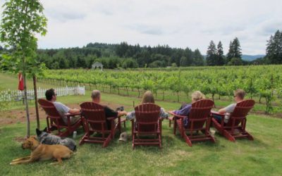 Sweet Earth Vineyards Farm: Cultivating Excellence, Harvesting Dreams